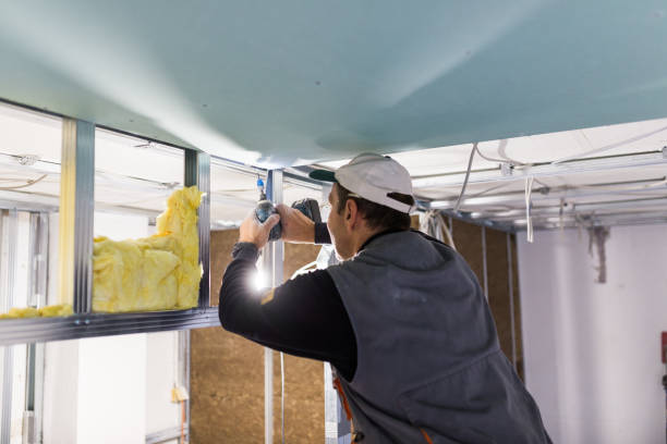 Best Energy Efficiency Insulation in Wonder Lake, IL