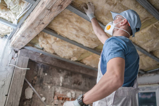 Best Cellulose Insulation in Wonder Lake, IL